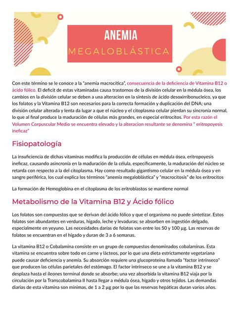 Anemia Megaloblástica