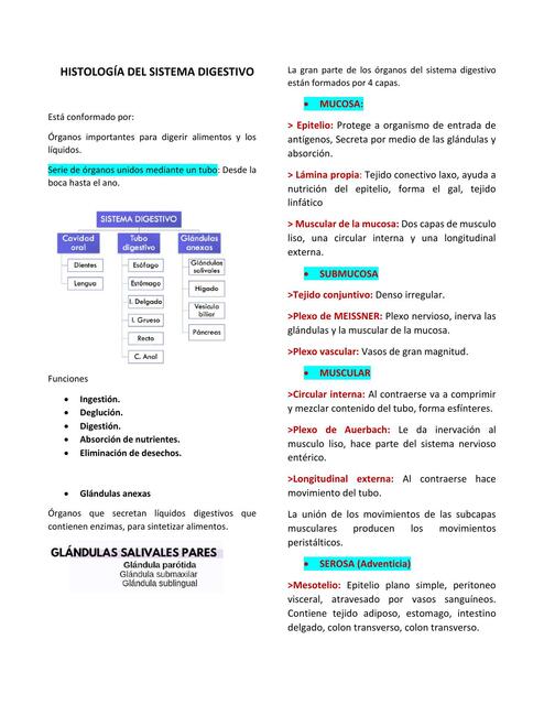 Histología del Sistema Digestivo