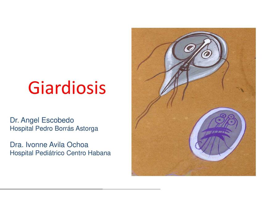 Giardiasis