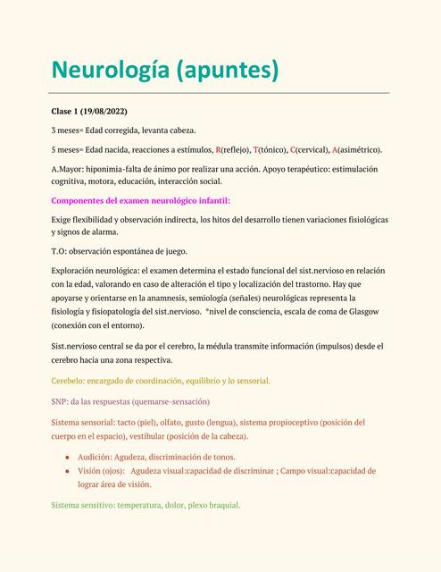 Apuntes Neurología