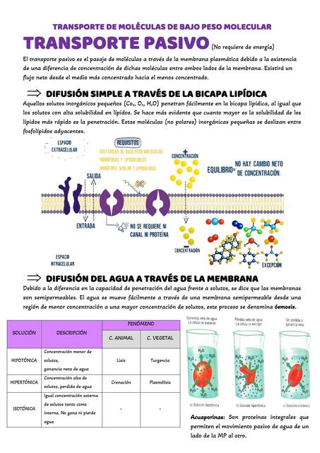 Transporte de Moléculas de Bajo Peso Molecular 