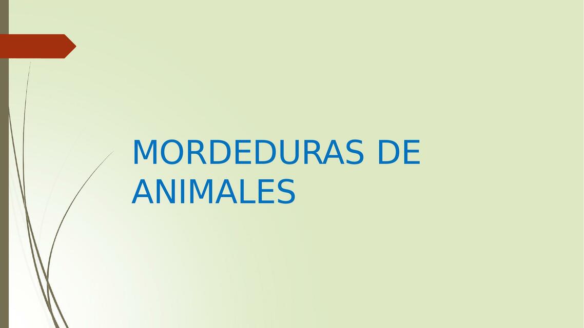 Mordedura de Animales 