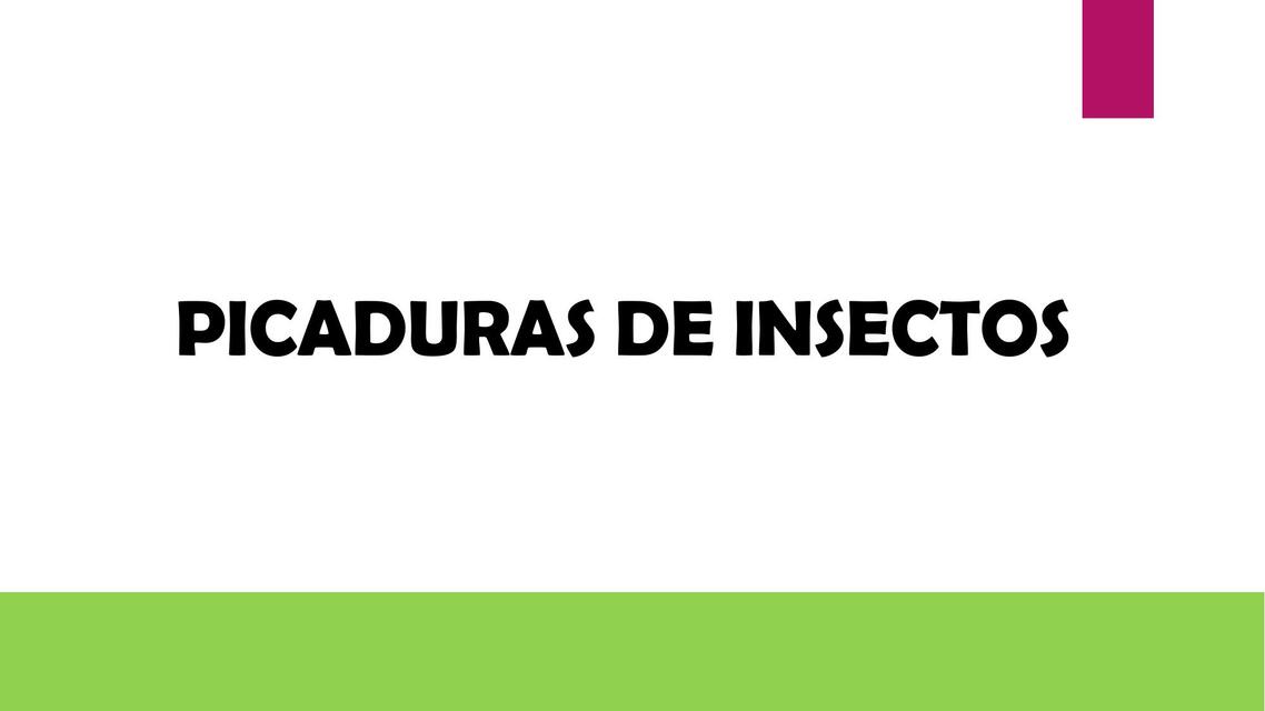 Picaduras de Insectos