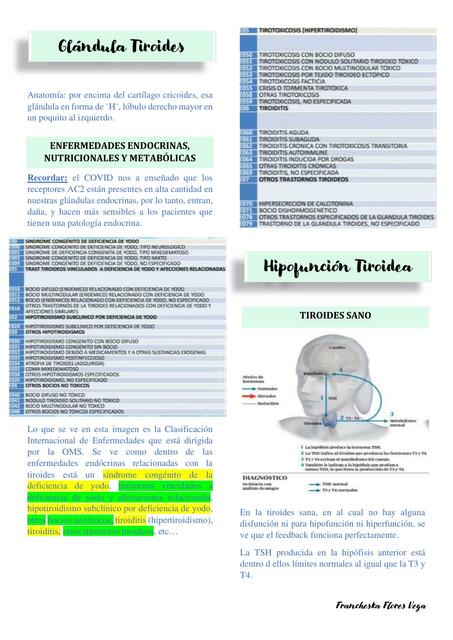 1.2 Semiología de la Glándula Tiroides