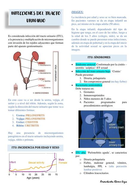 2.1 Infecciones del Tracto Urinario