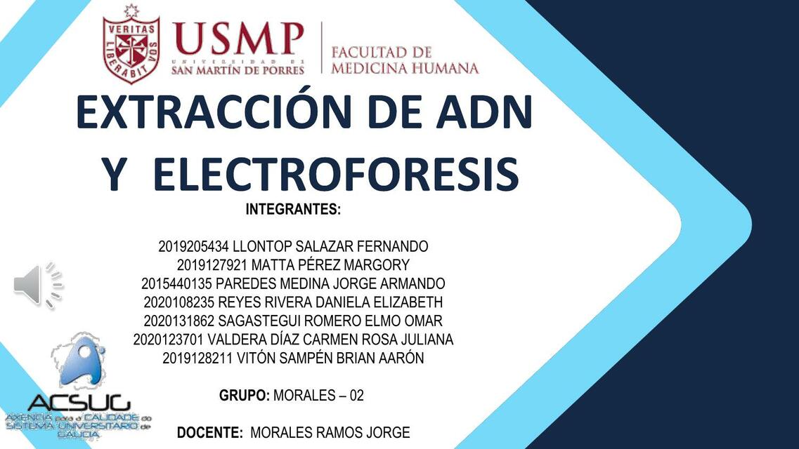 Extracción de ADN y Eletroforesis