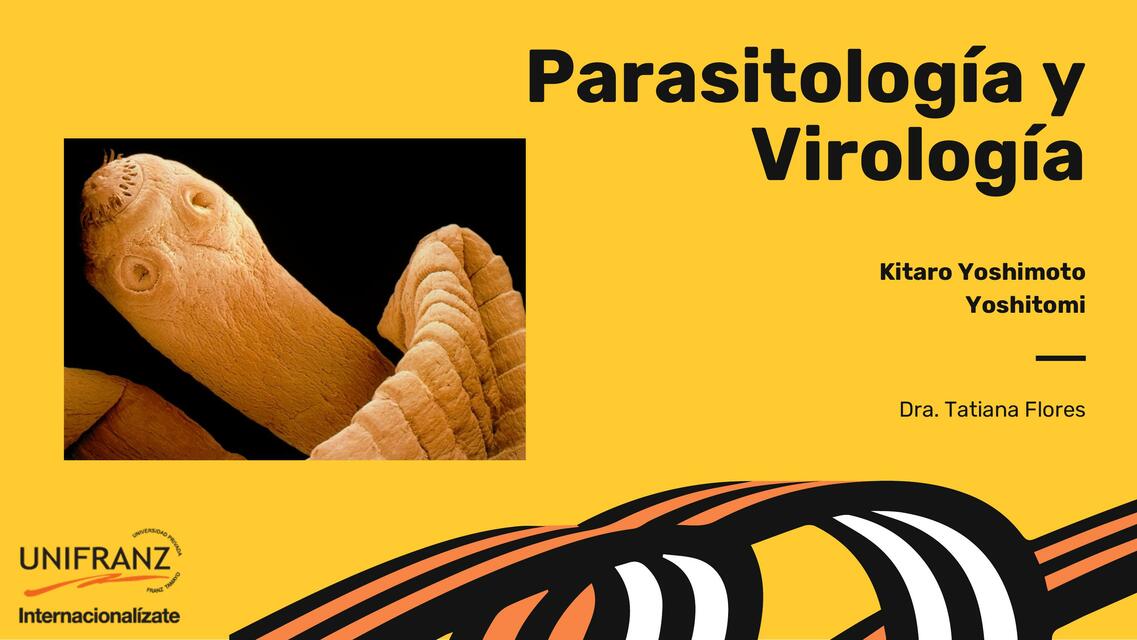 Parasitología infografías