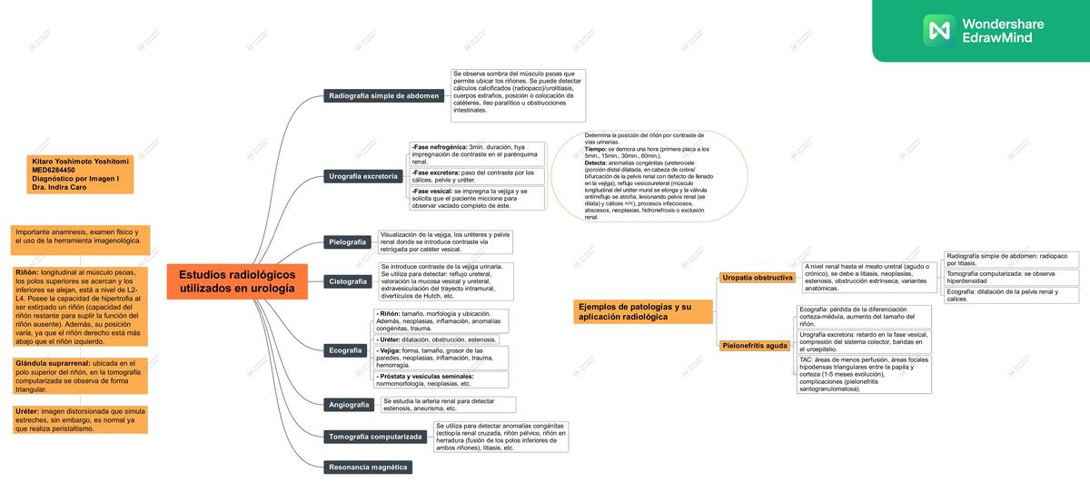 Estudios radiológicos utilizados en urología