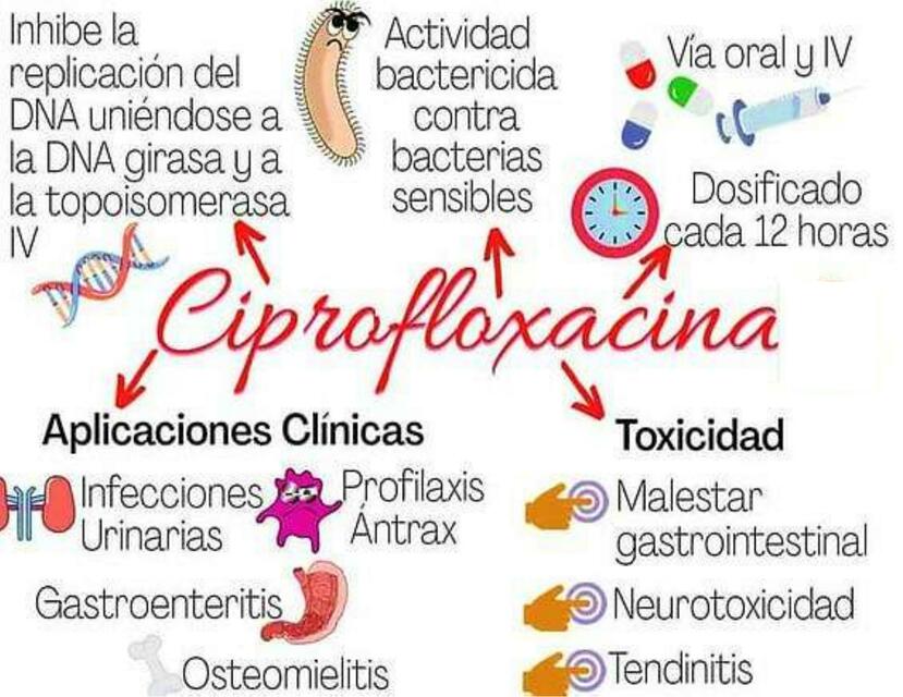 The content outlines the uses, mechanism, dosing schedule, and potential toxicities of ciprofloxacin, including its applications in treating urinary infections, gastroenteritis, and anthrax prophylaxis.
