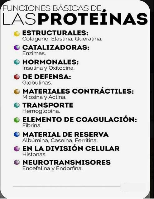 Funciones Básicas de las Proteínas | fraii | uDocz