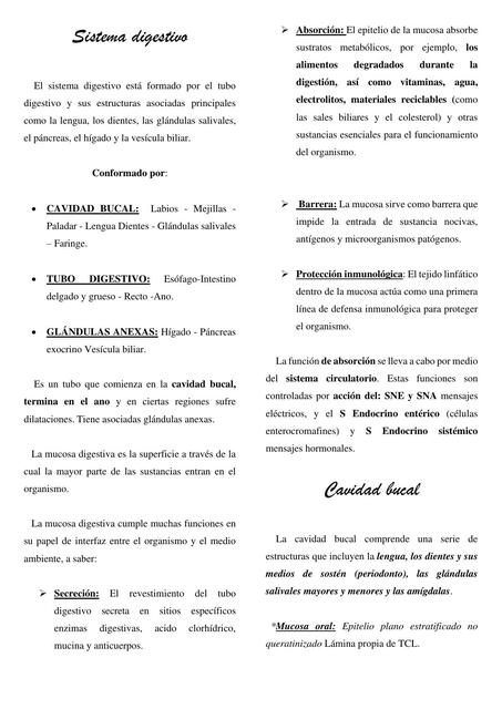 Sistema Digestivo Udocz