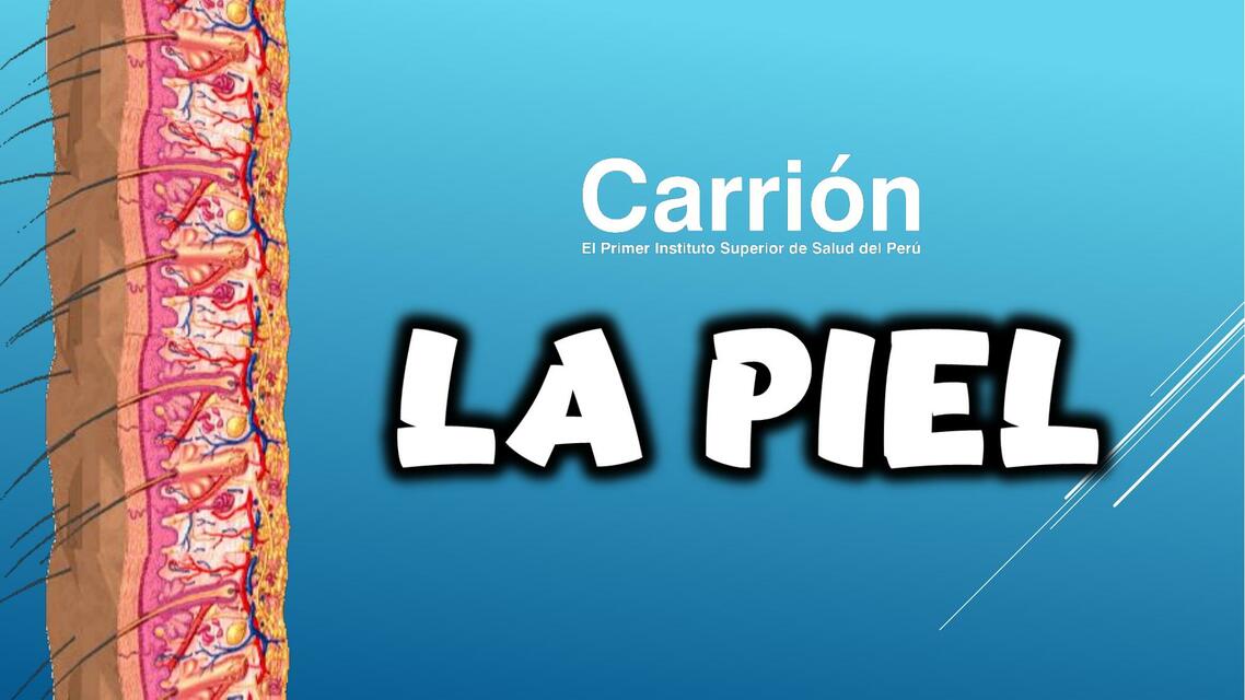 La Piel 