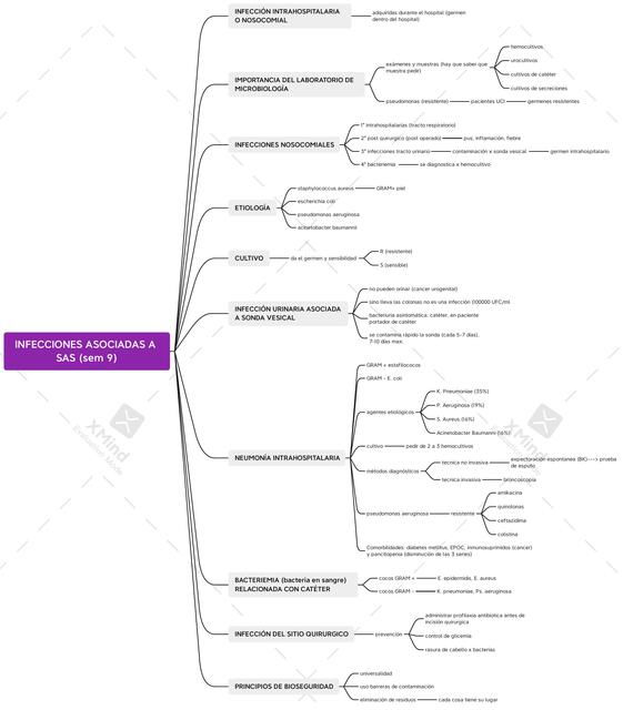 Infecciones Asociadas a SAS 