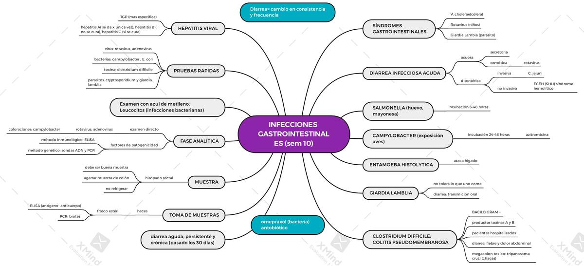 Infecciones Gastrointestinales 