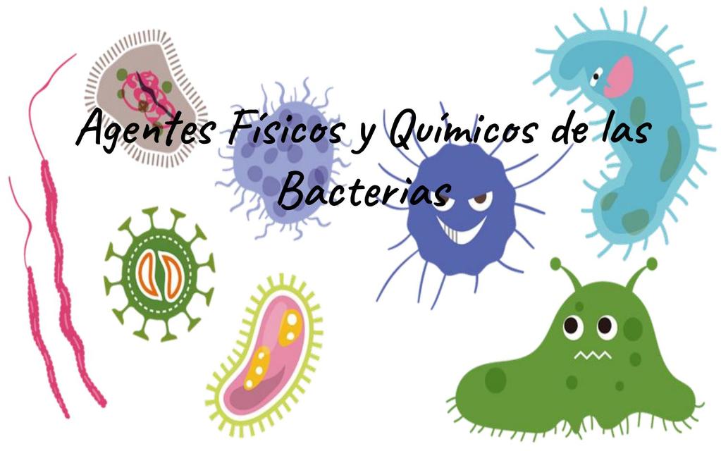 Agentes físicosy químicos de las bacterias