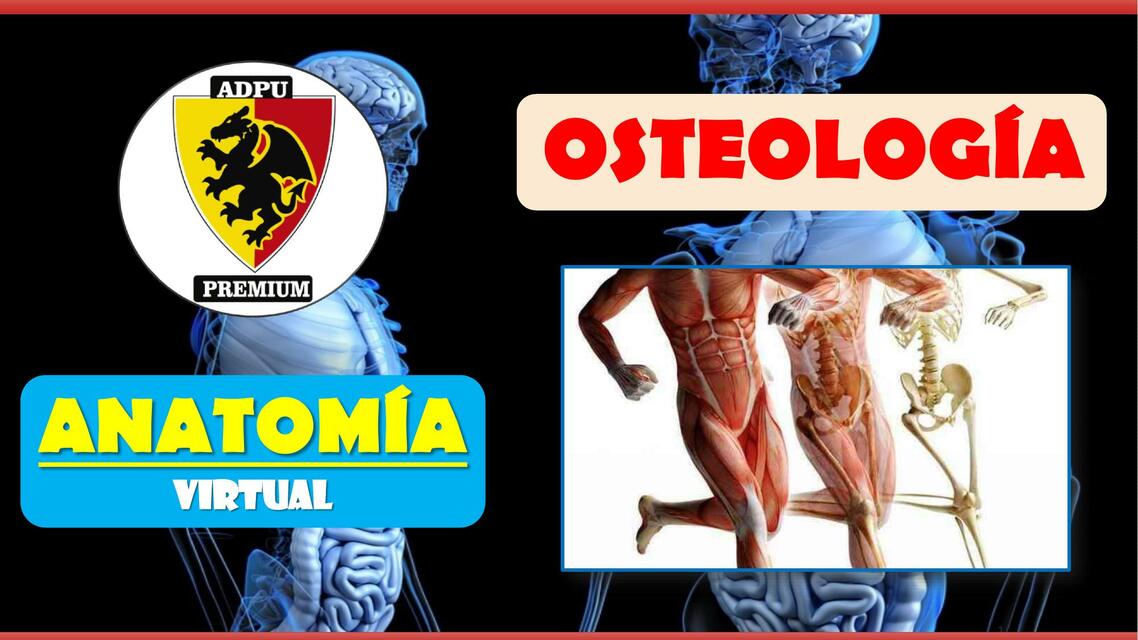 OSTEOLOGIA