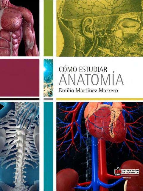 Cómo Estudiar Anatomía