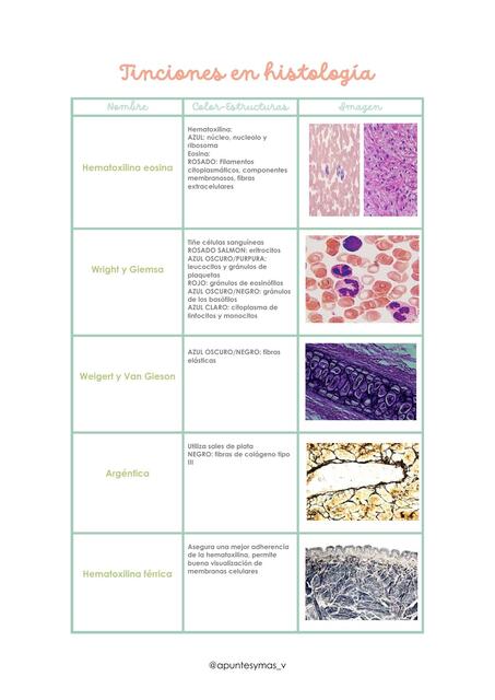 Tinciones en Histología 