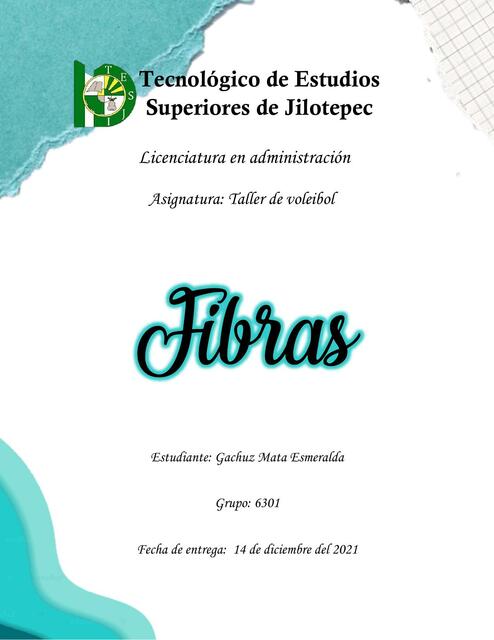 Fibras 