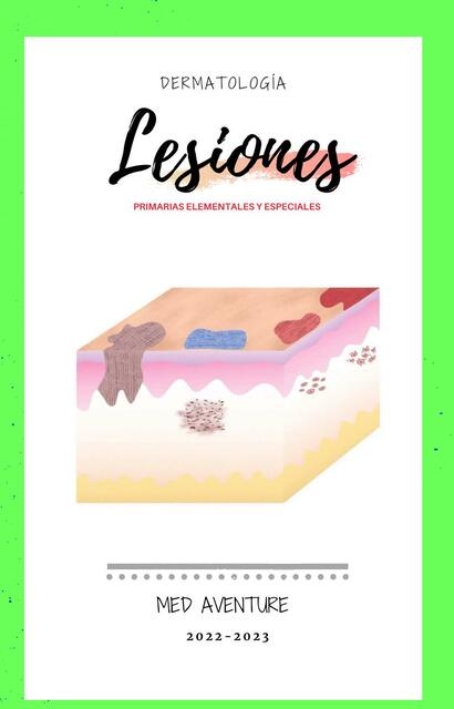 Lesiones  Primarias  Elementales  y  Especiales 