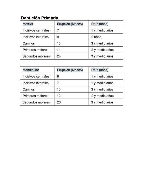 Cronología de la Erupción Dental