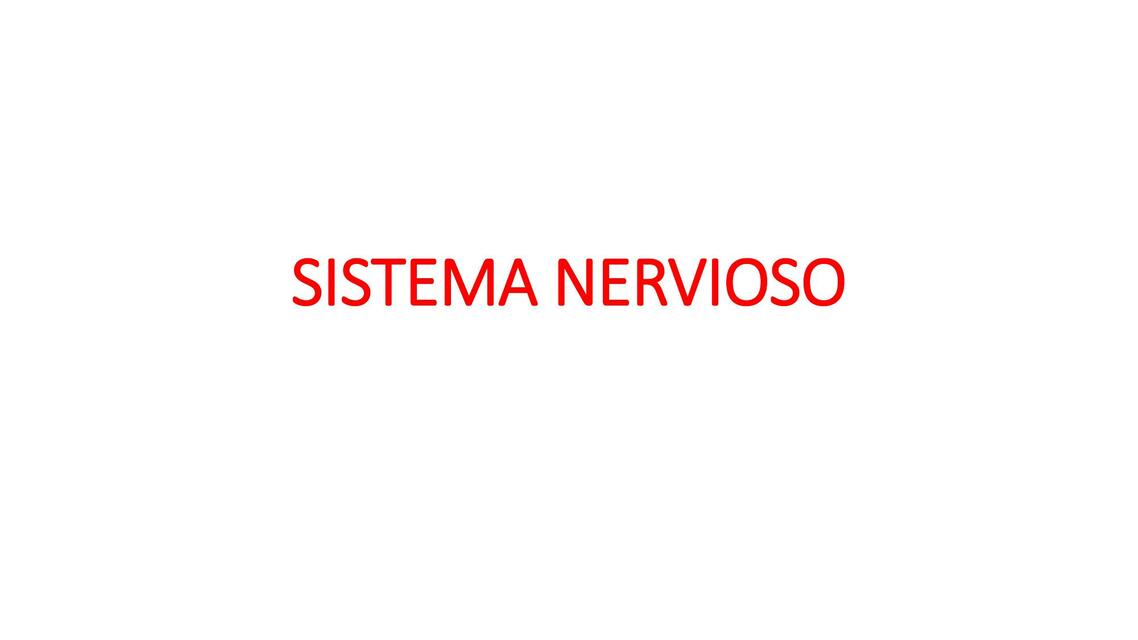 Sistema Nervioso 