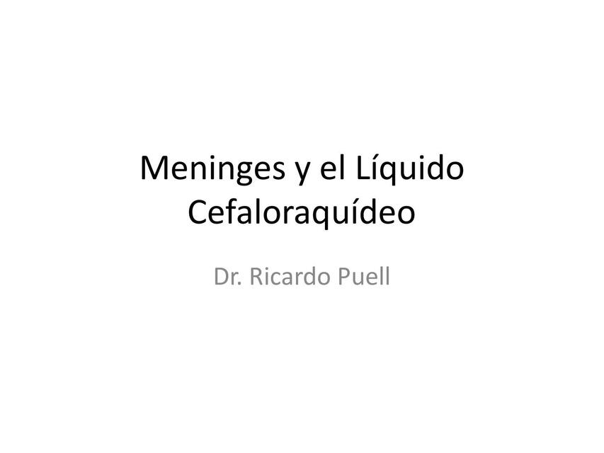 Meninges y el Líquido Cefalorraquídeo