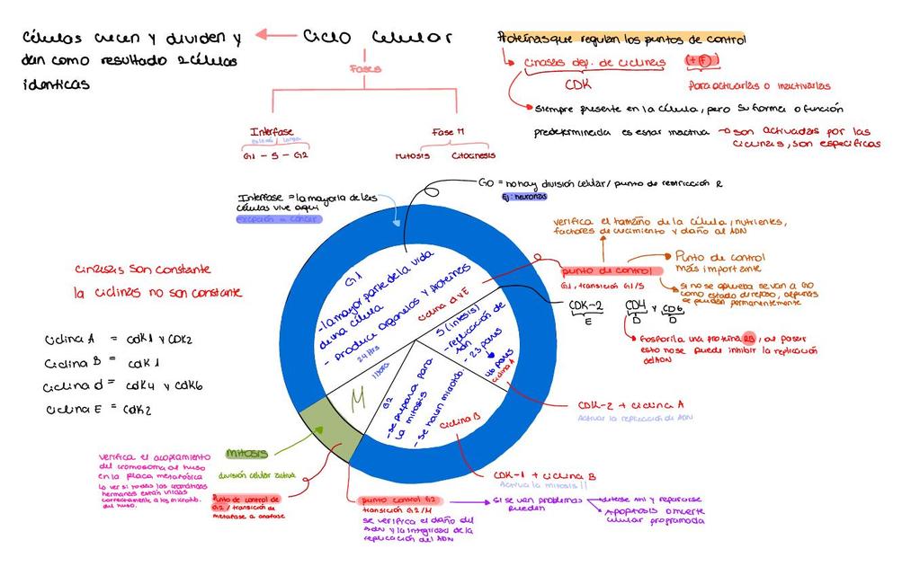 Biologia