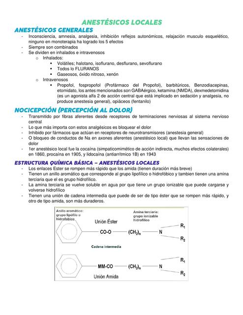 Anest Sicos Locales Johana Choc Salvador Udocz