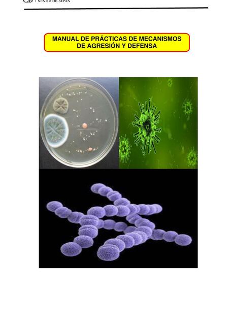 Género: Staphylococcus y Streptococcus