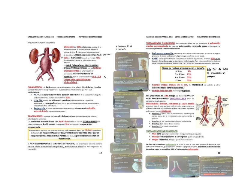Aneurismas aorta abdominal | uDocz