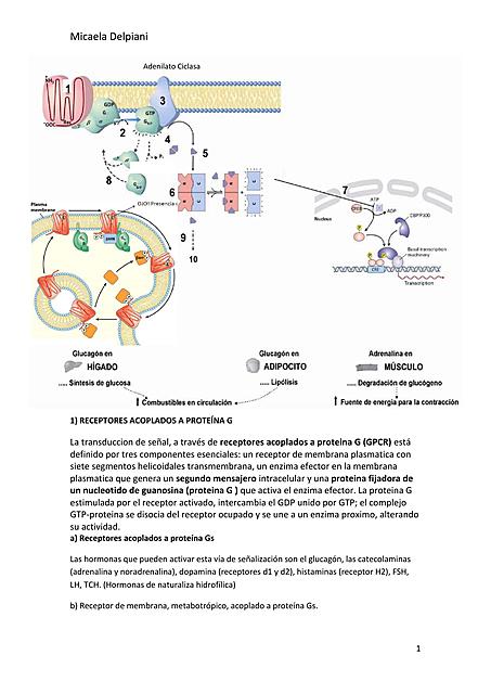 TP 3RESOLUCIÓNBioquímica