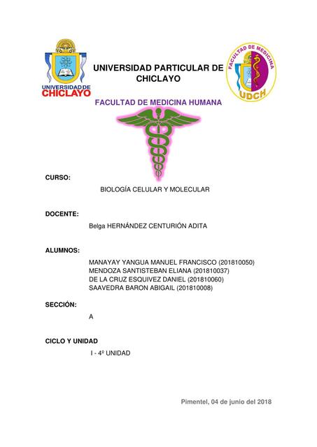 Informe Duplicación del ADN