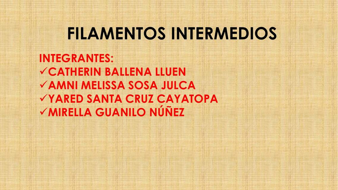 Filamentos Intermedios 