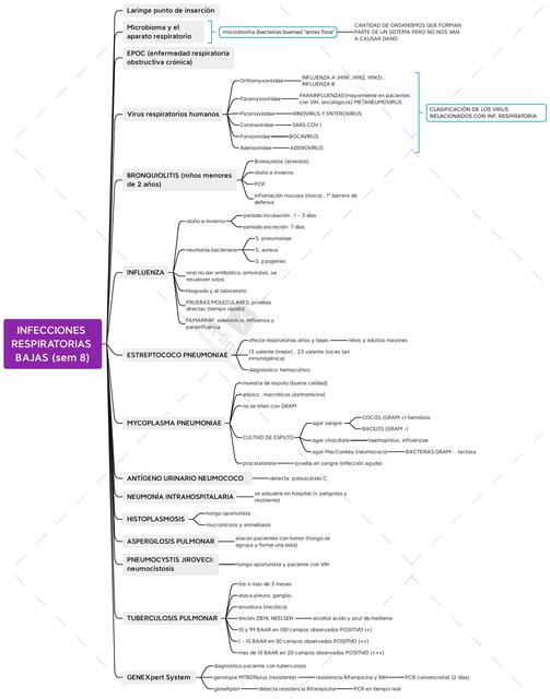 Infecciones Respiratorias Bajas 