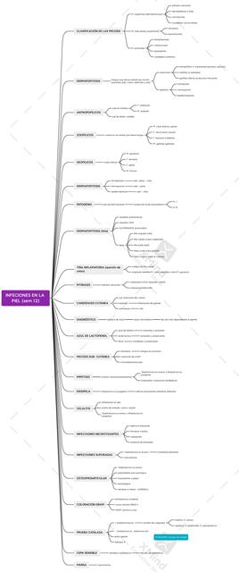 Infecciones en la Piel 
