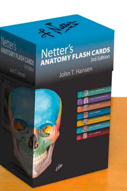 Netter s Anatomy Flash Cards