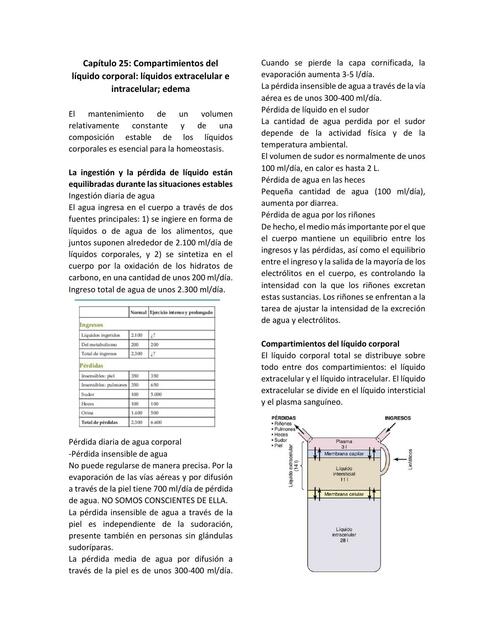 Capítulo 25 Compartimientos del líquido corporal l