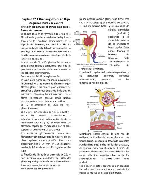 Capítulo 27 Filtración glomerular flujo sanguíneo 