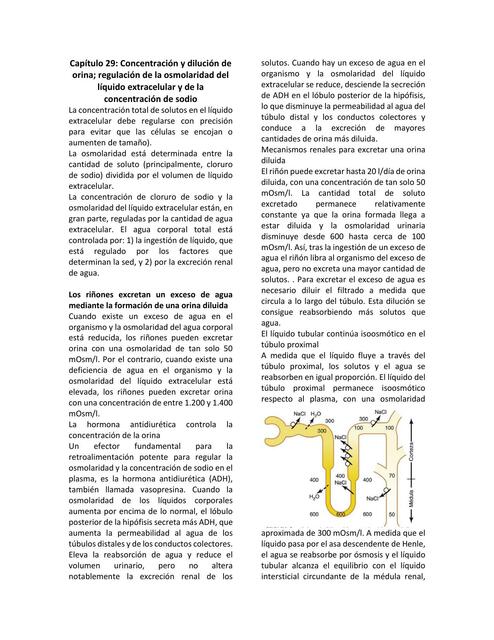 Capítulo 29 Concentración y dilución de orina regu