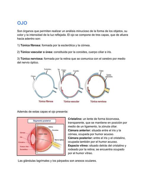 Ojo 