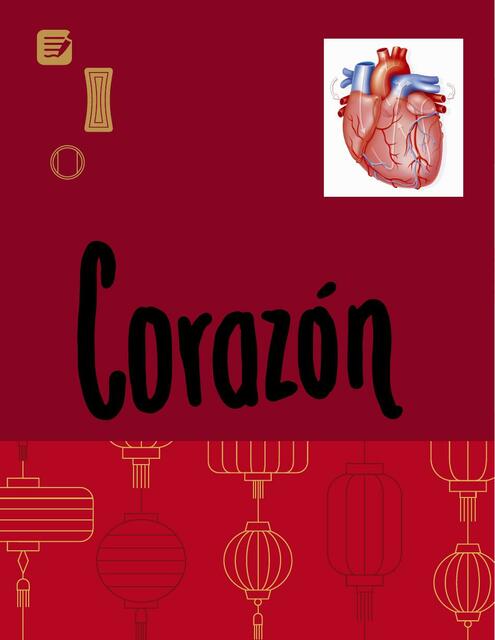 Formación del Corazón