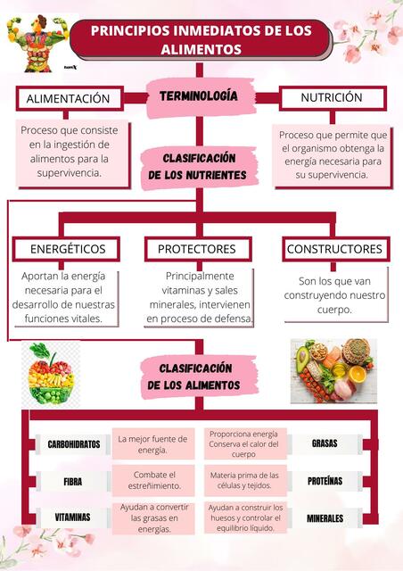 Principios Inmediatos de los Alimentos