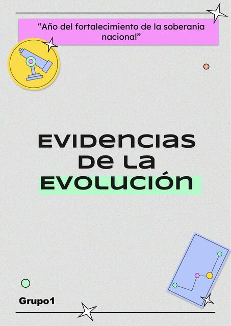 Evidencias de la Evolución