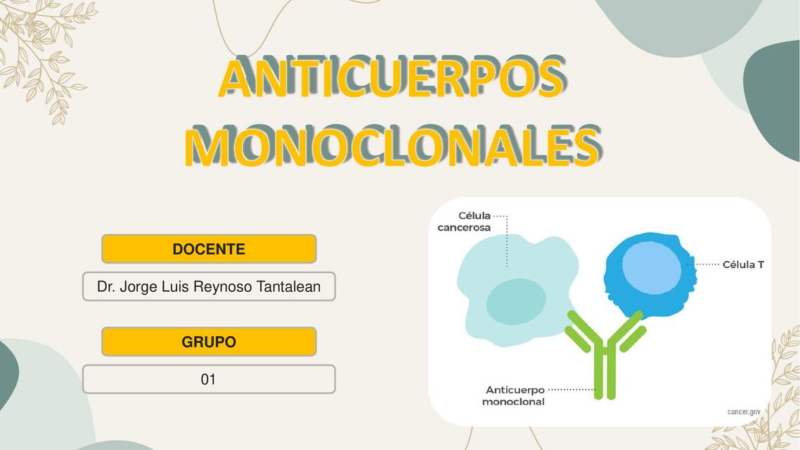 Anticuerpos Monoclonales Tiroxina Med Udocz Anticuerpos Monoclonales Tiroxina Med Udocz