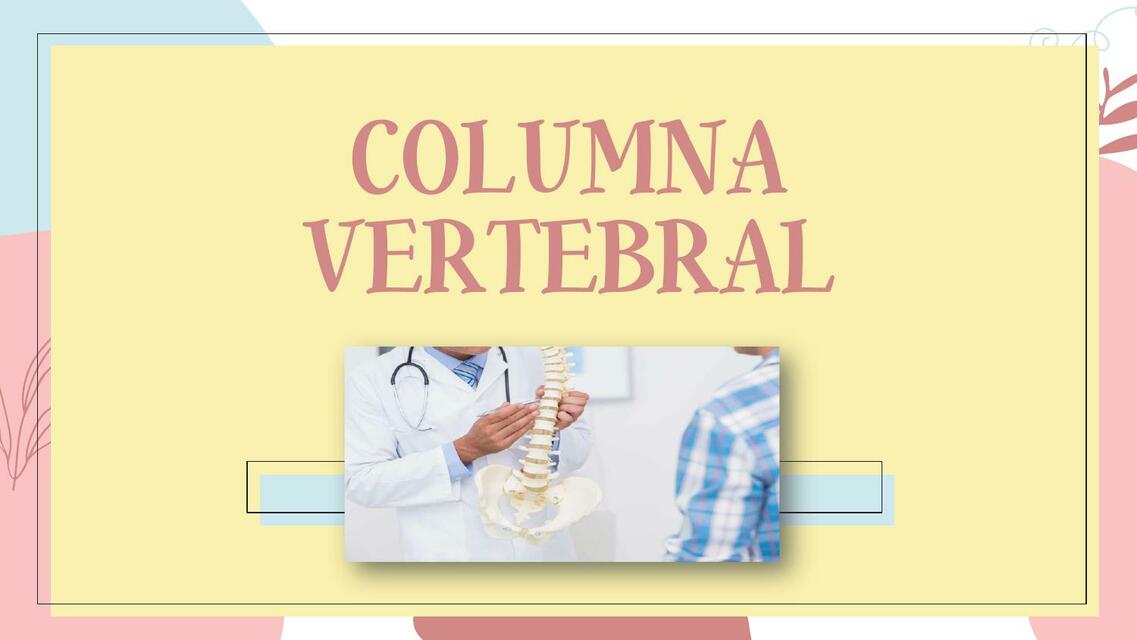 Columna Vertebral