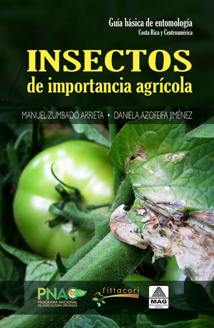 Guía Básica de Entomología 