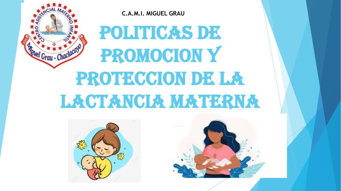 Políticas de Promoción y Protección de la Lactancia Materna 