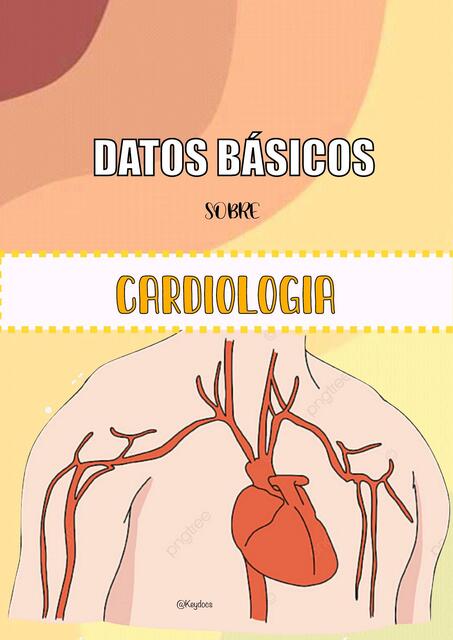 Datos básicos sobre cardiología