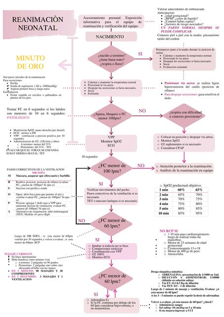 Reanimación Neonatal 